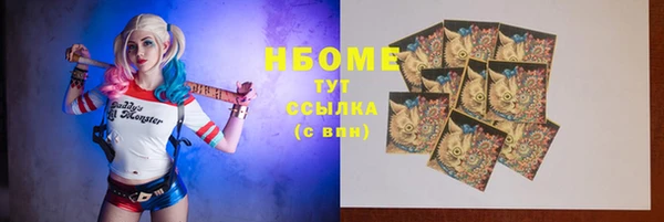 ECSTASY Горняк