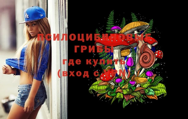 дживик Горнозаводск