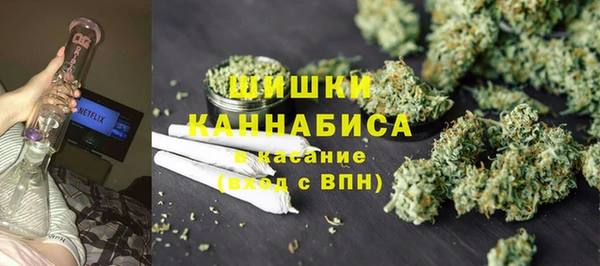 дмт Горно-Алтайск