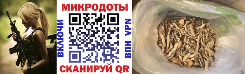 Псилоцибиновые грибы мицелий  Калининград 